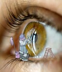 Avatar de l’utilisateur